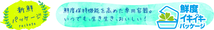 新鮮パッケージ