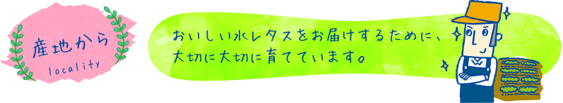 産地から